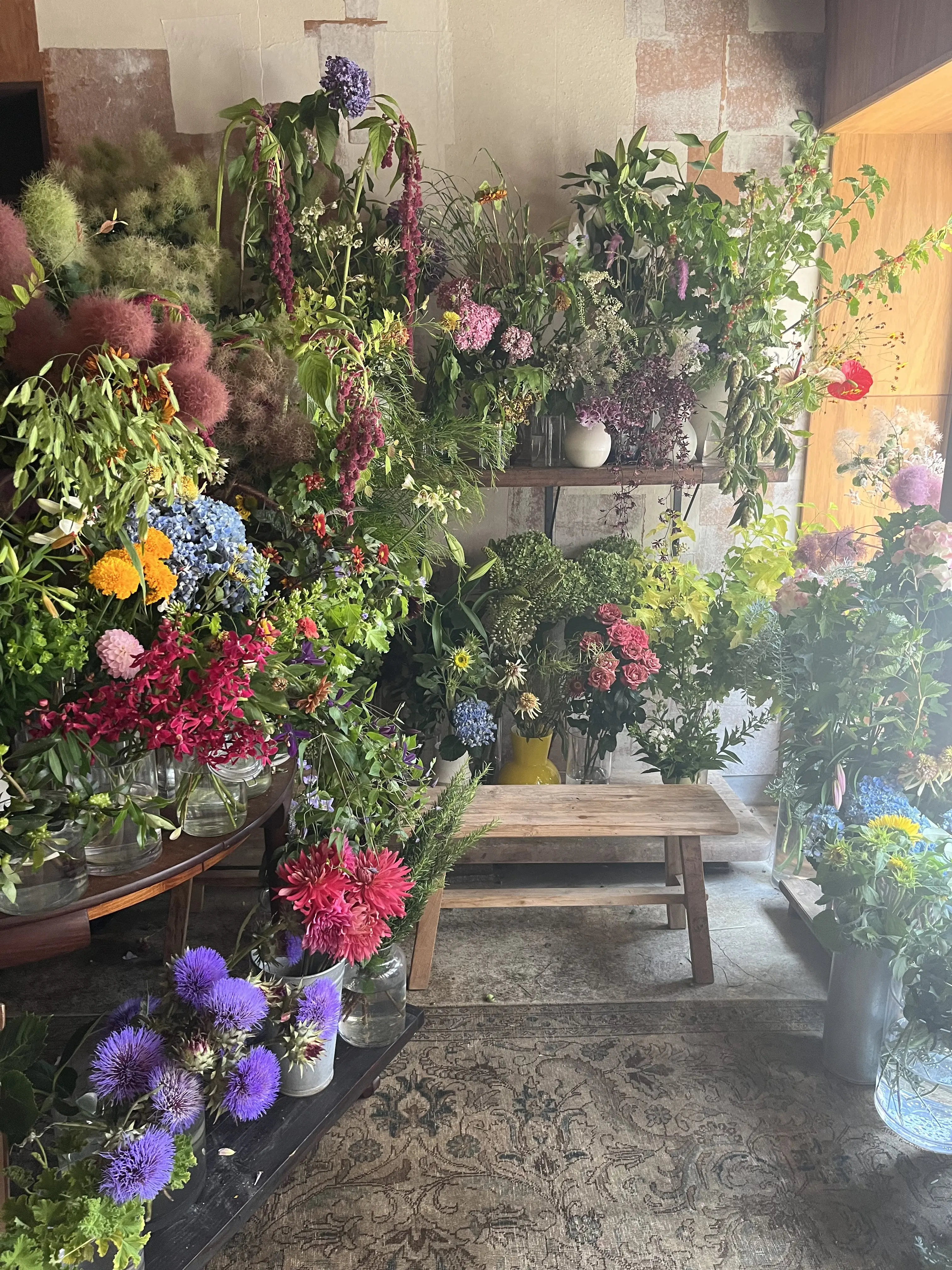 初夏のお花で『花屋で写真館♪』_1_2