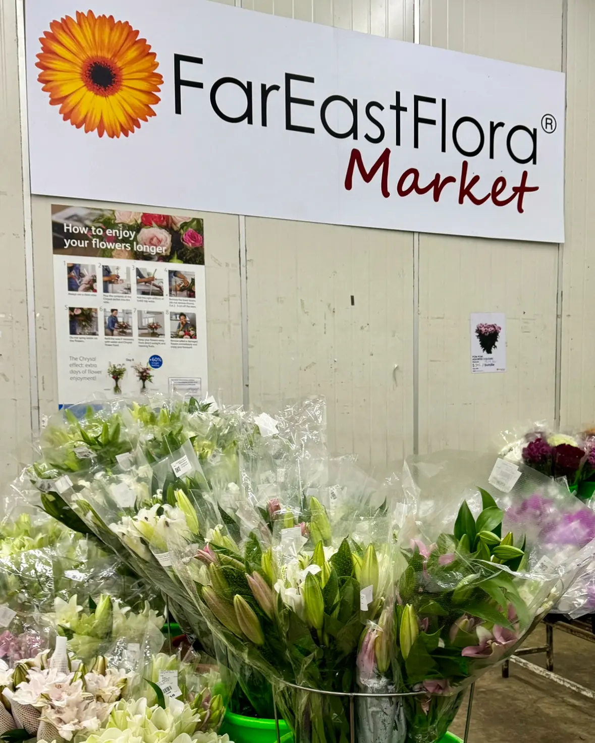 Far east flora