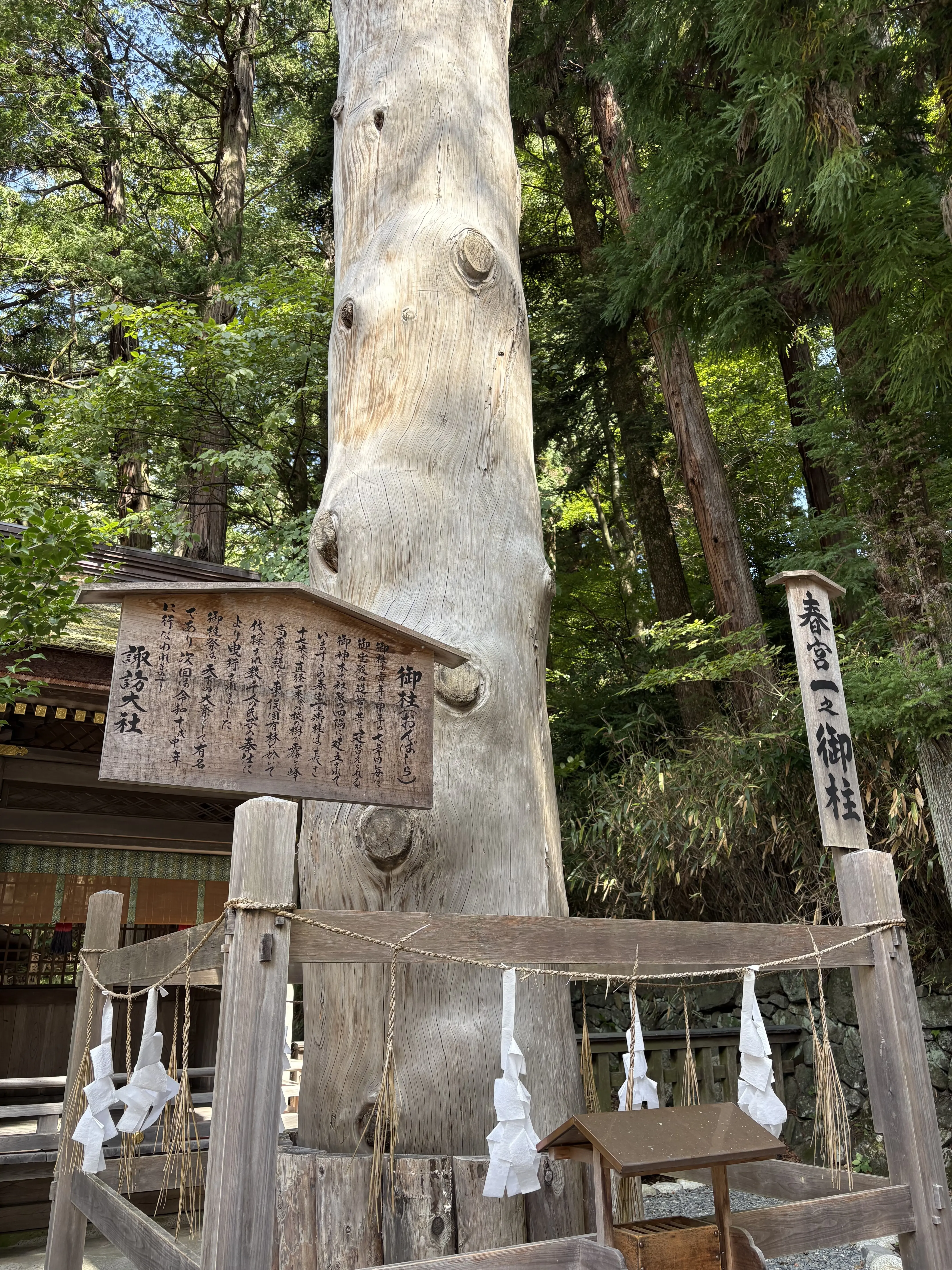 諏訪大社　下社春宮　万治の石仏