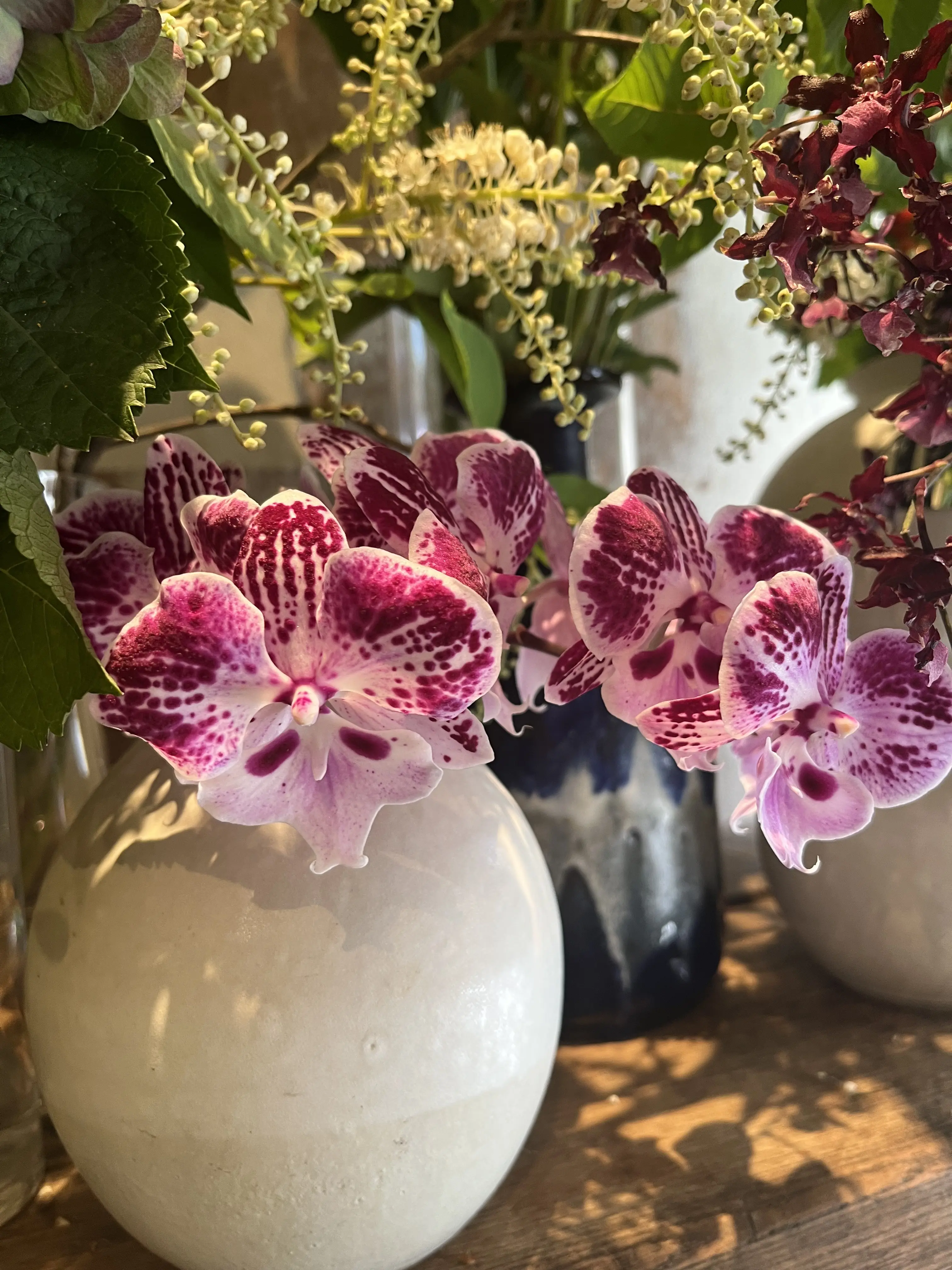初夏のお花で『花屋で写真館♪』_1_6