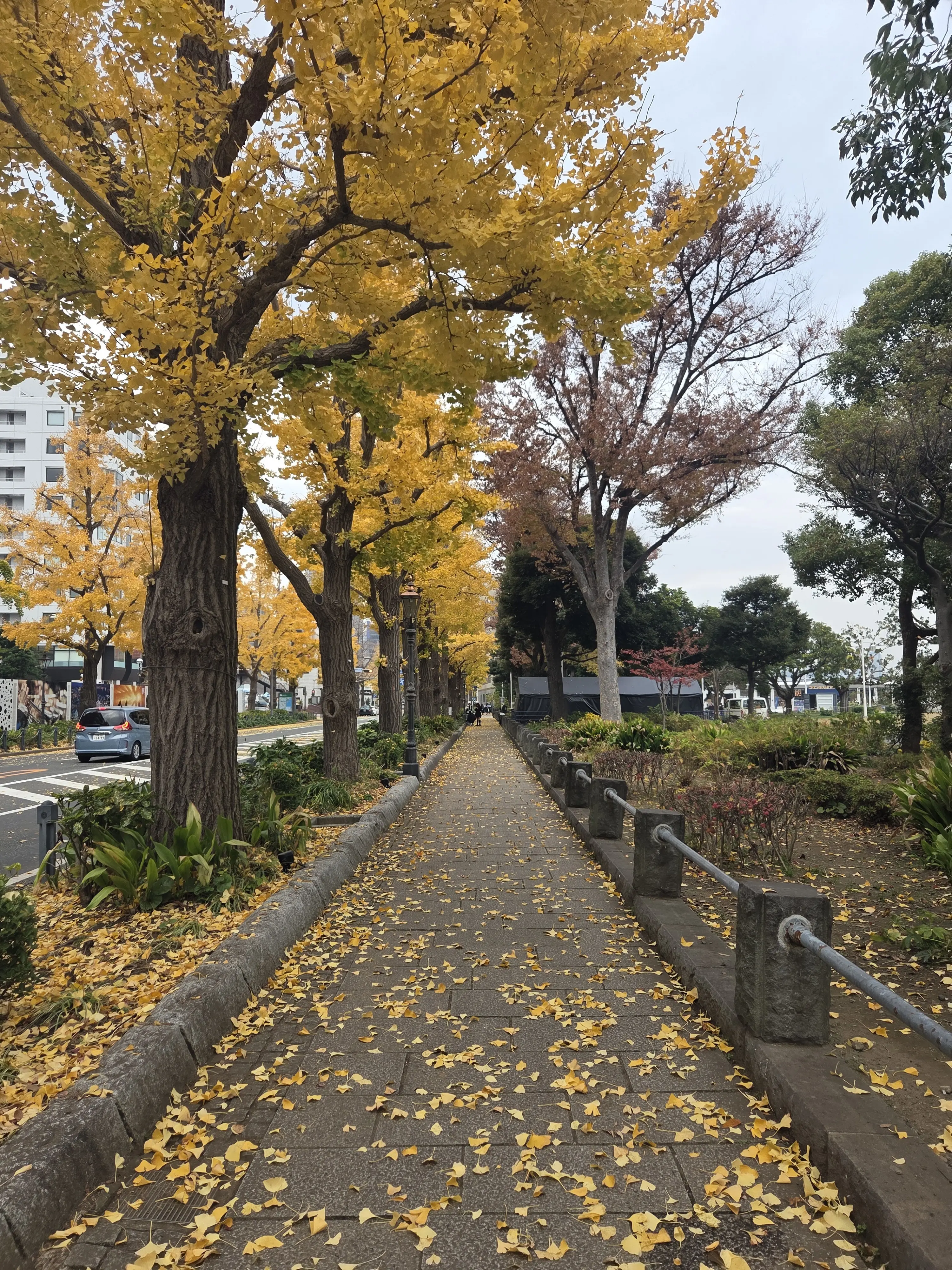 元町〜山下公園へ♡横浜の潮風を感じる散策と、シェラトン横浜での贅沢ステイ_1_10