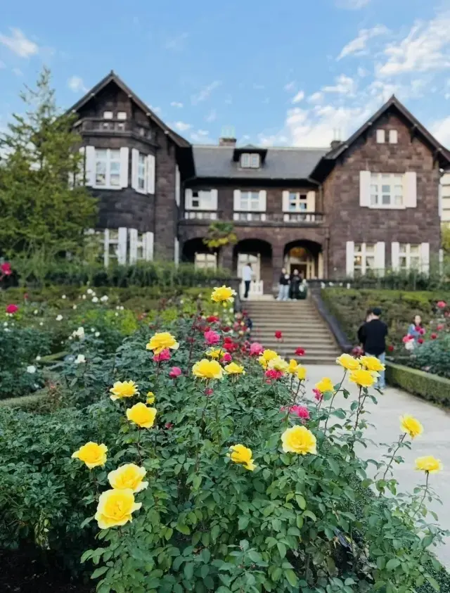 美しいバラと紅葉、旧古河庭園へ
