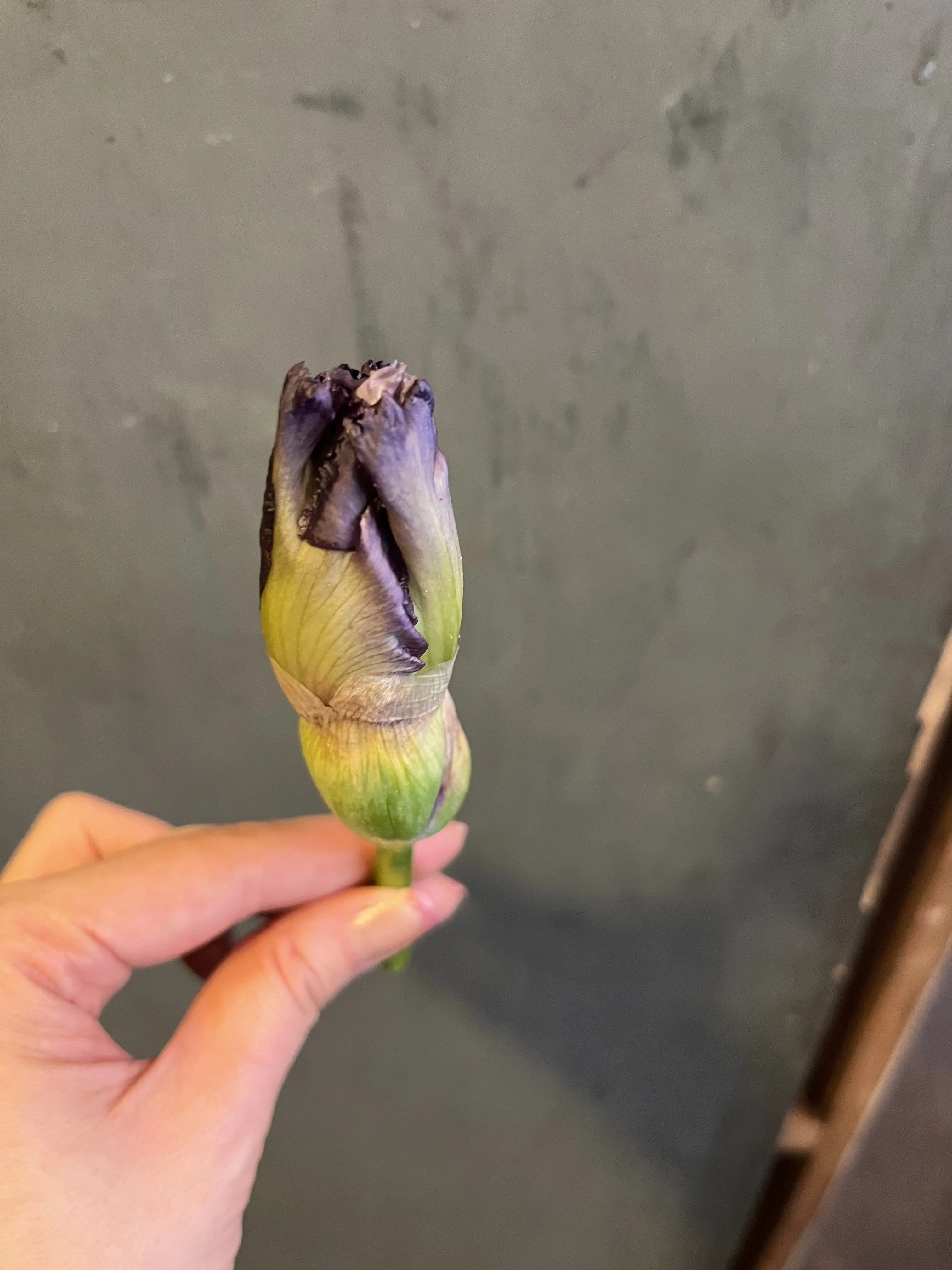 初めて選んだお花でブーケ_1_10