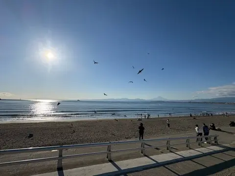 あけましておめでとうございます！久し振りのランニングで2026年幕開けです。_1_1