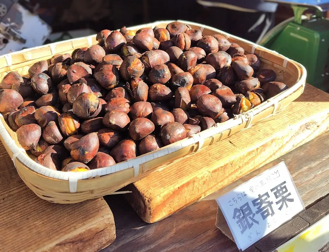 丹波篠山　銀寄栗