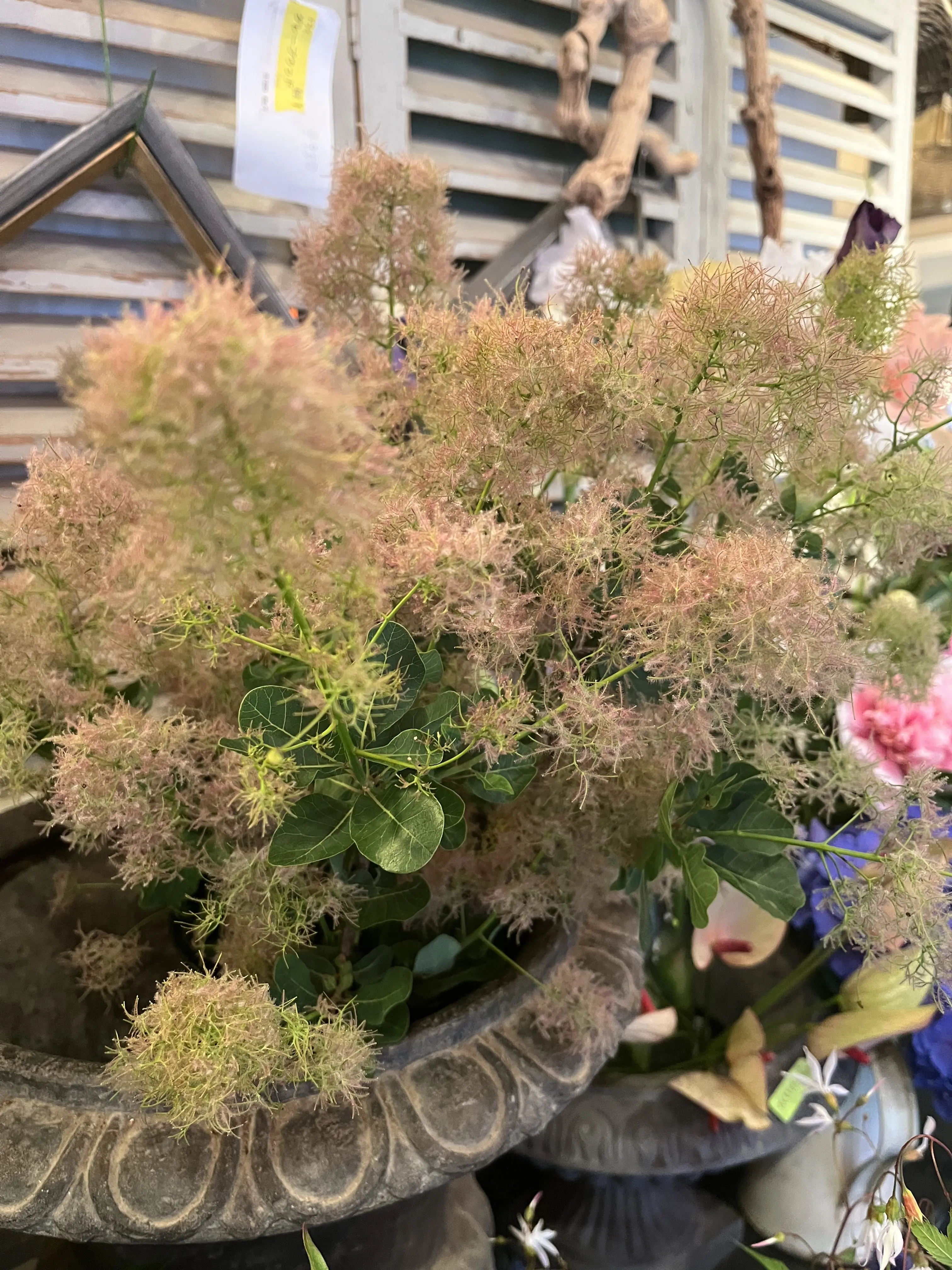 初めて選んだお花でブーケ_1_2