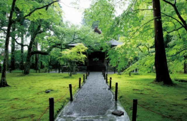 京都の皇室ゆかりの社寺　三千院の参道