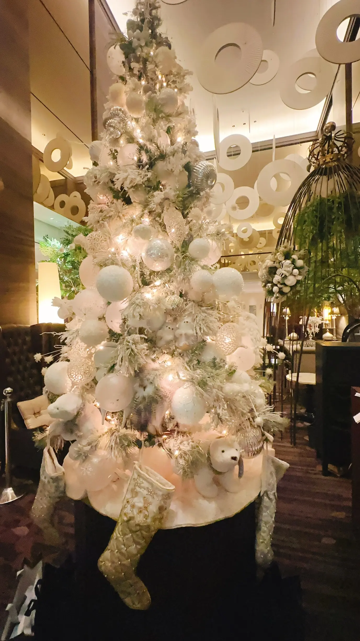 ザストリングス表参道室内