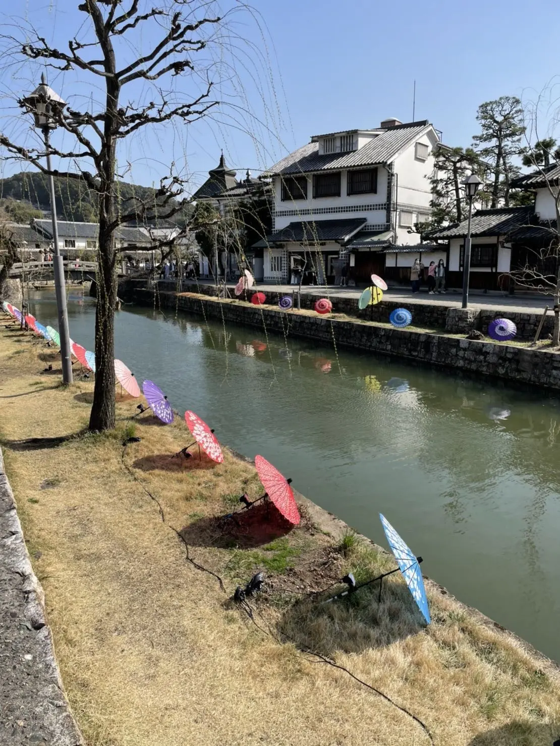 春あかりと鮮やかブルーグラデーション_1_2