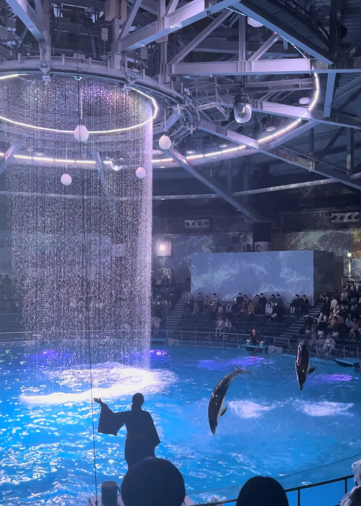 春のおすすめ♡大人の水族館デート_1_9