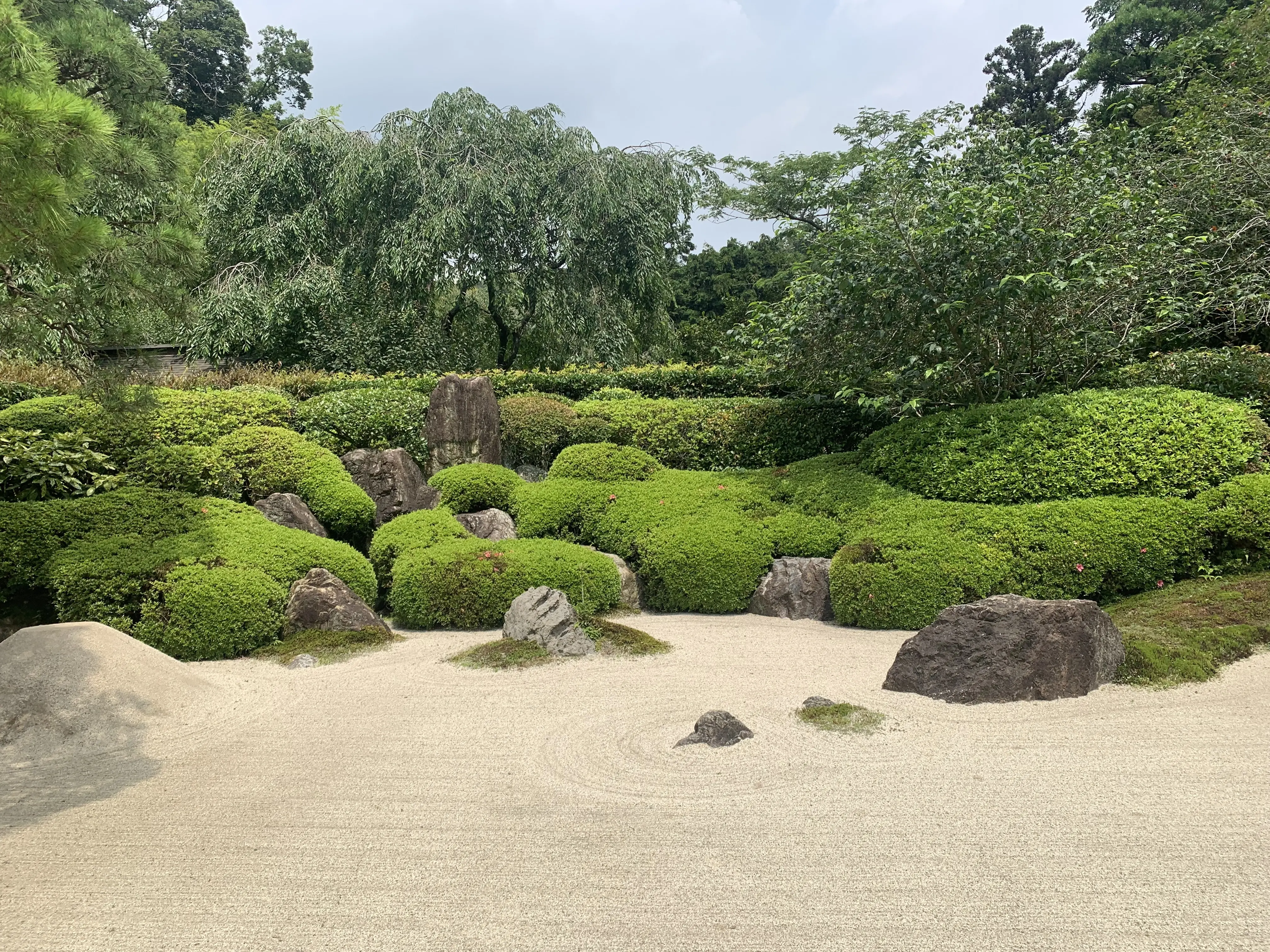 明月院の枯山水庭園