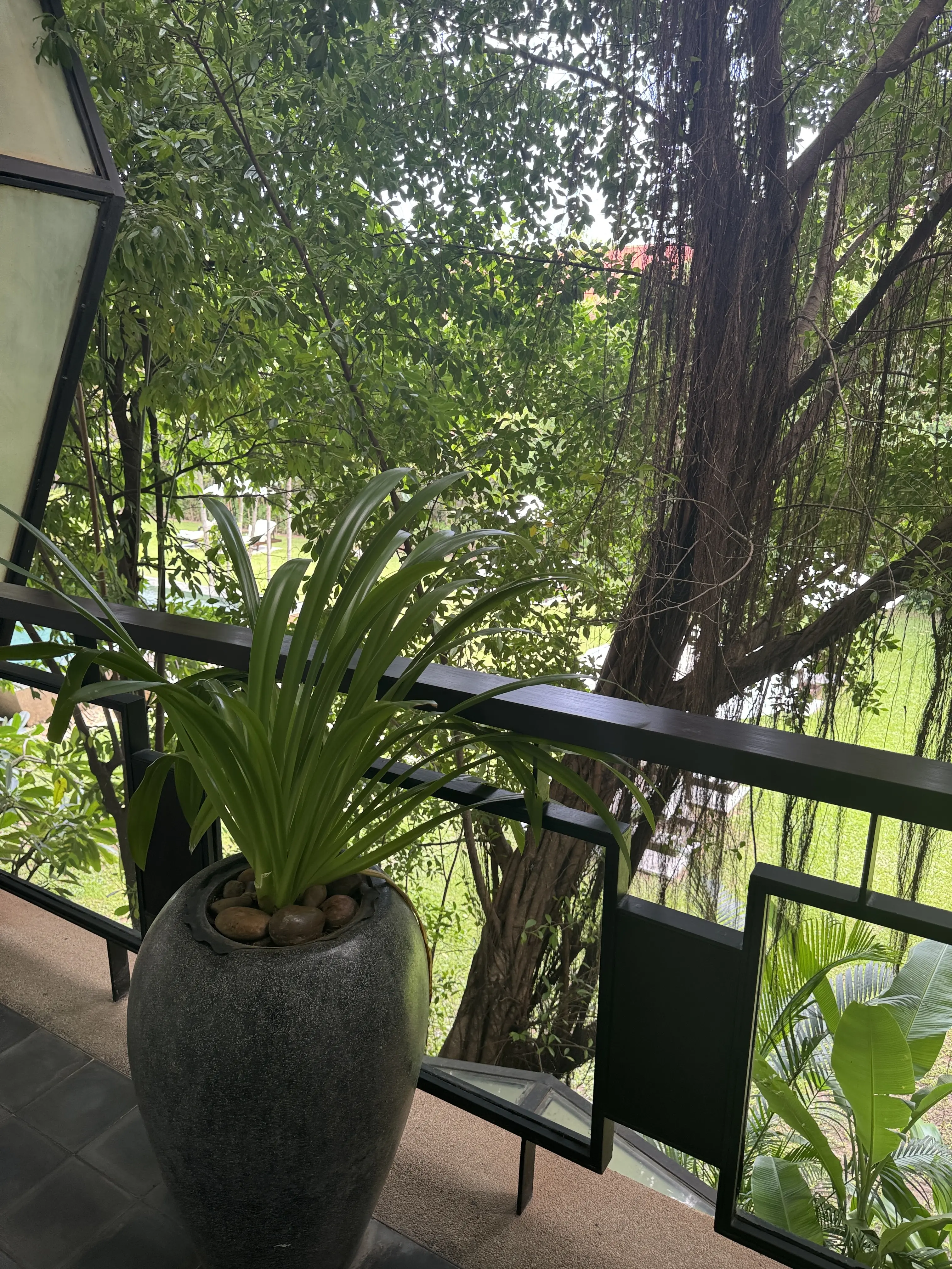 夏旅 to CAMBODIA🇰🇭番外編_1_8-3