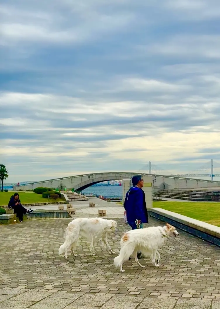 連日行列の新スポット!生ドーナツ「I’m donut?」とベーカリー「dacō」が「横浜ティンバーワーフ」に同時オープン!_1_16