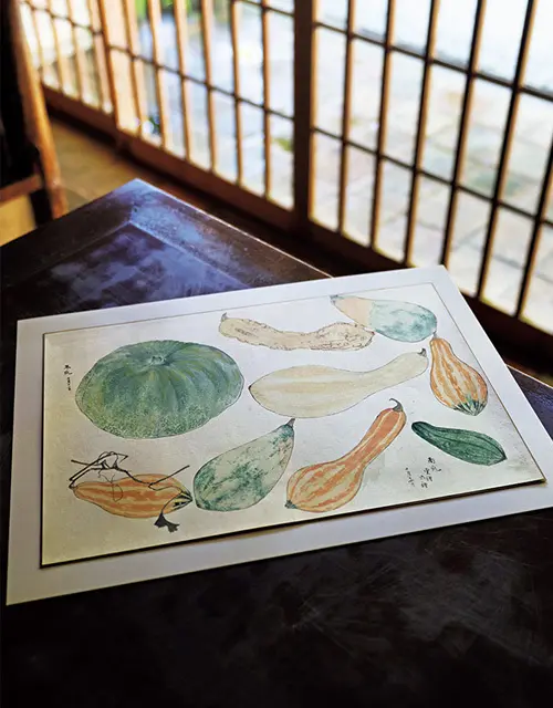一点ものの肉筆画や版画が気軽に！　てっさい堂の“植物画”【京都 唯一無二の逸品】_1_1-3