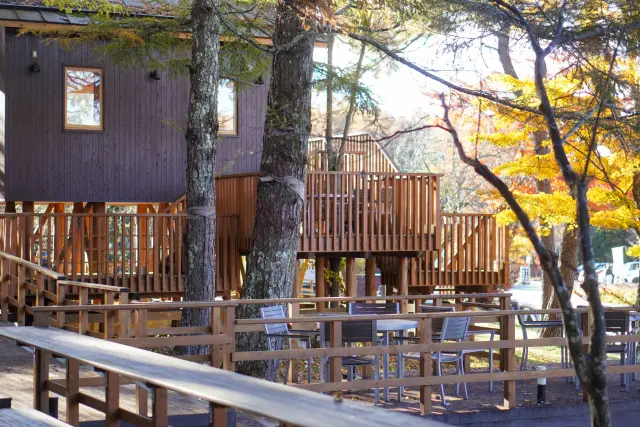 彩りの秋、紅葉真っ盛りの山中湖ドライブ♪熱々ほうとうや超人気カフェ♪_1_10
