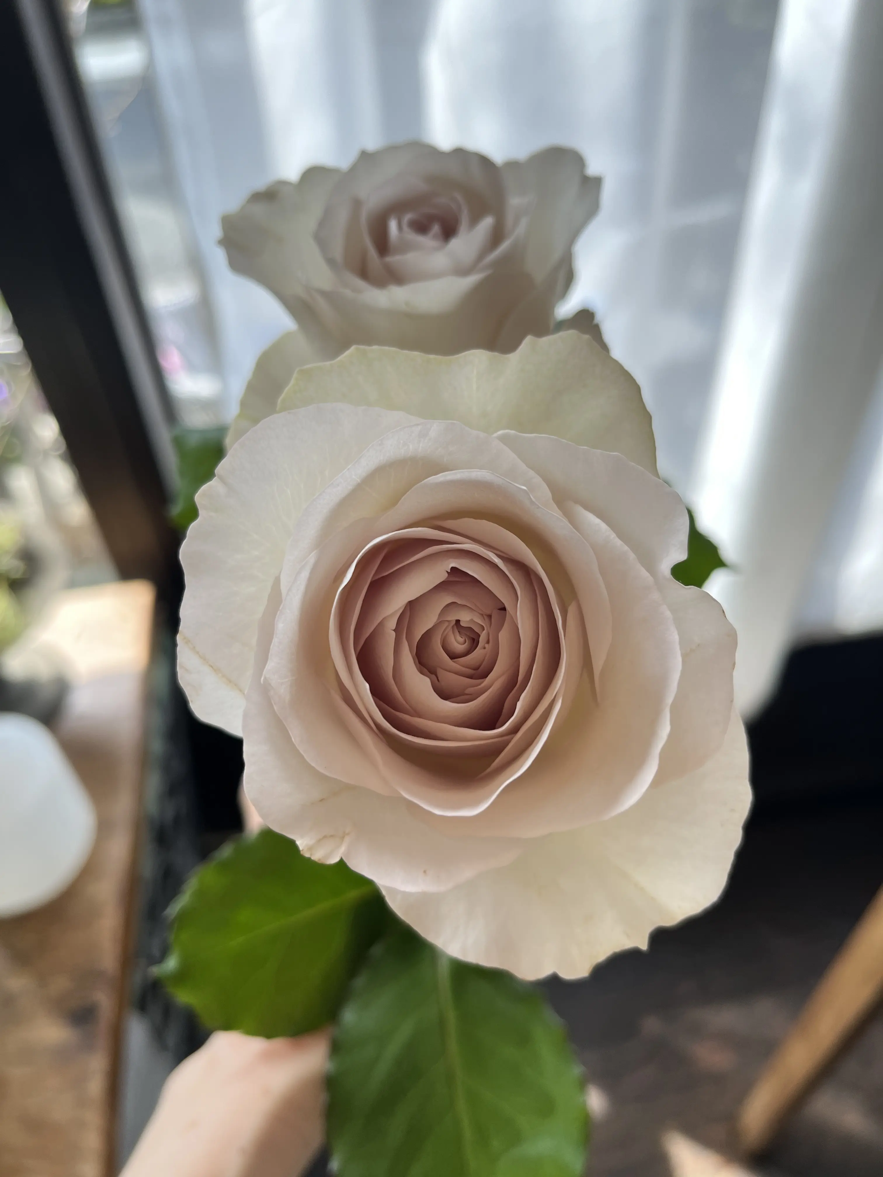 最近の〝花活〟_1_6