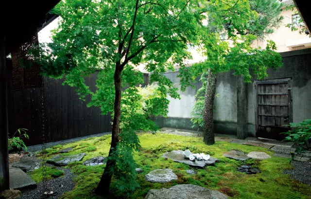 造園家・菅藤恵輔さんによって生まれた、明るく開放的な和の庭 
