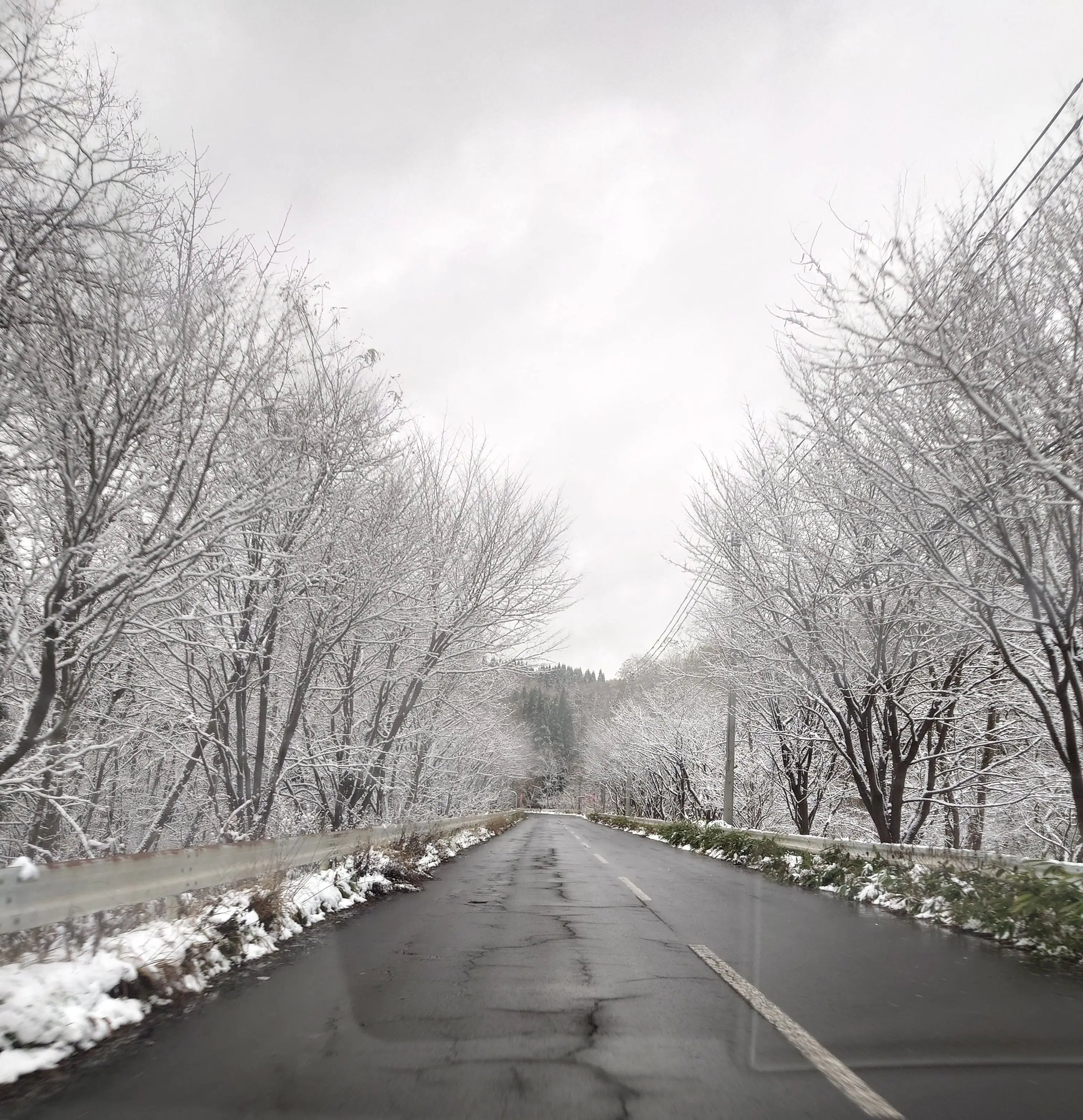 雪の山道①