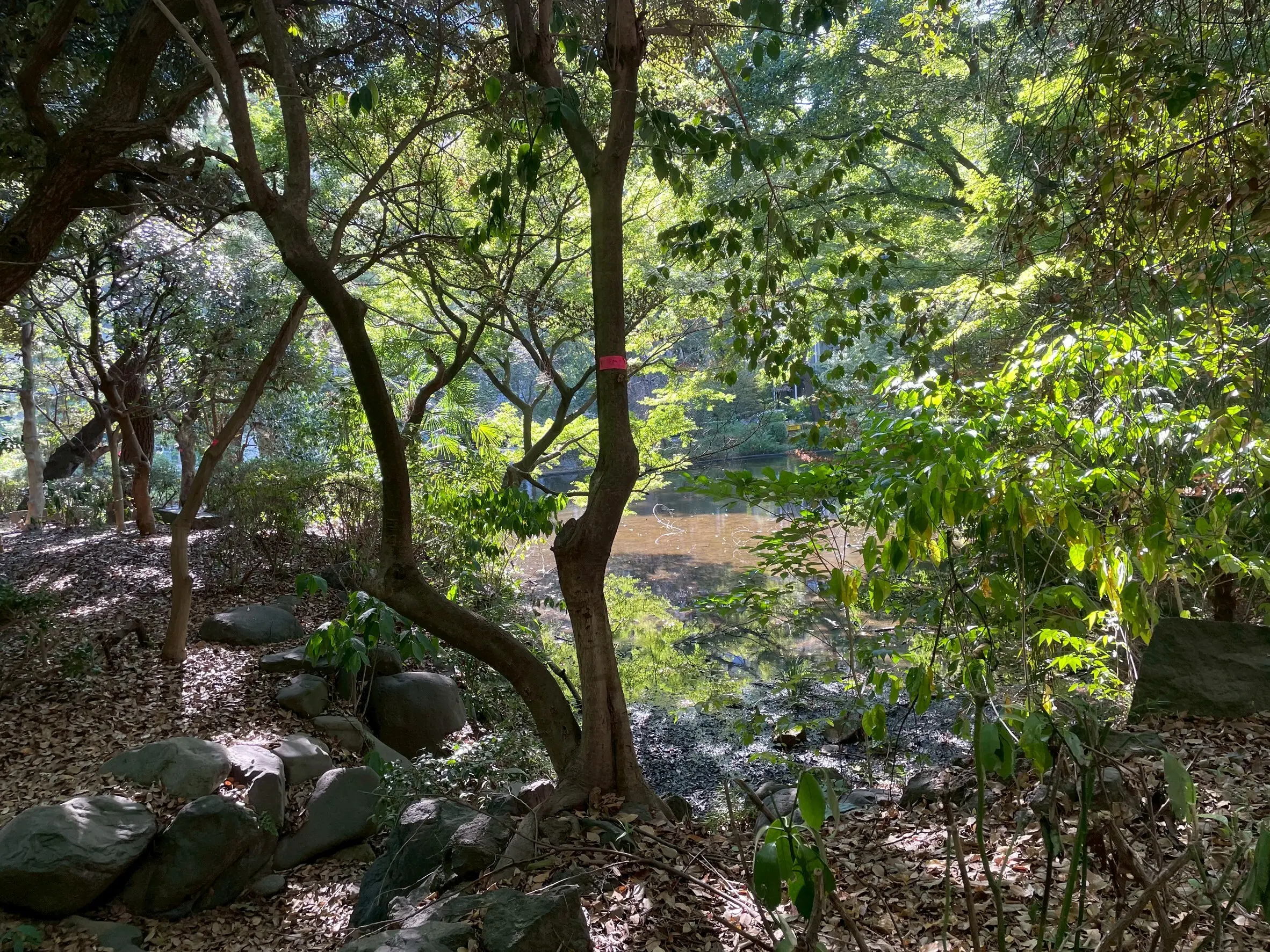清水谷公園