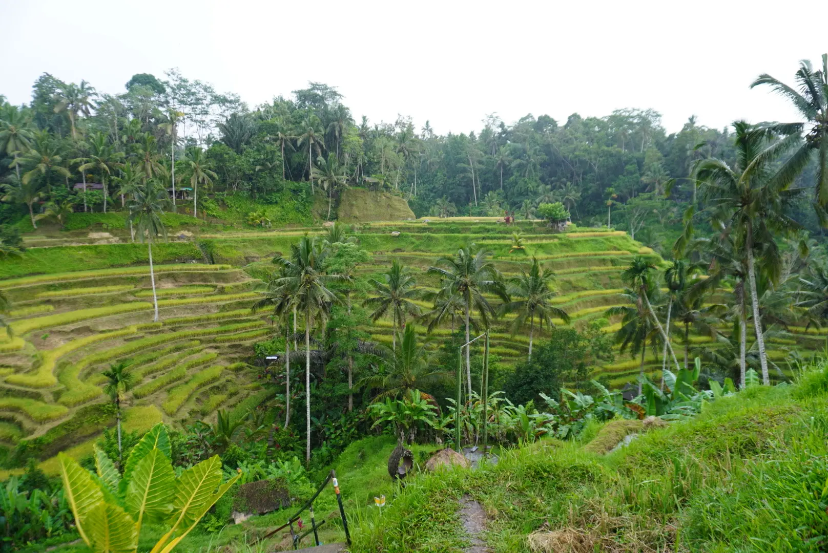 【2026年冬旅】年越しは夫婦で初めてのバリ島へ！その③_1_13