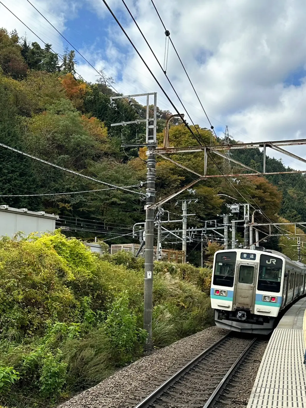全日空のファーストクラスで提供される日本酒の新酒祭りへ_1_3