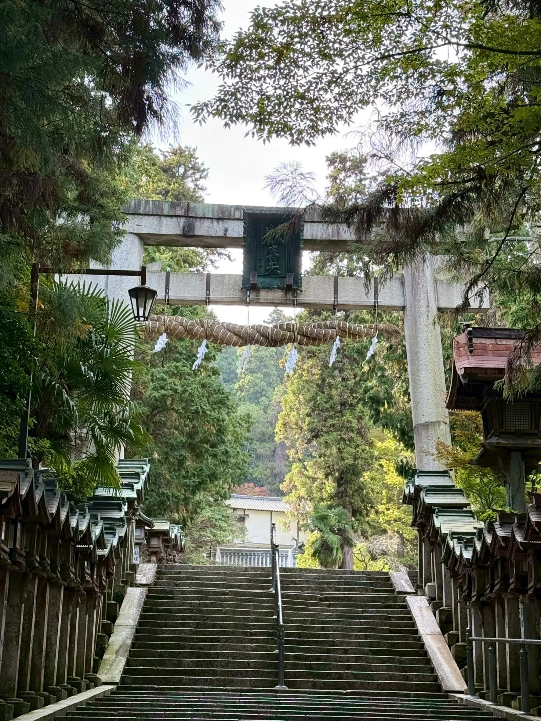 秋を感じる生駒山で山登り_1_11
