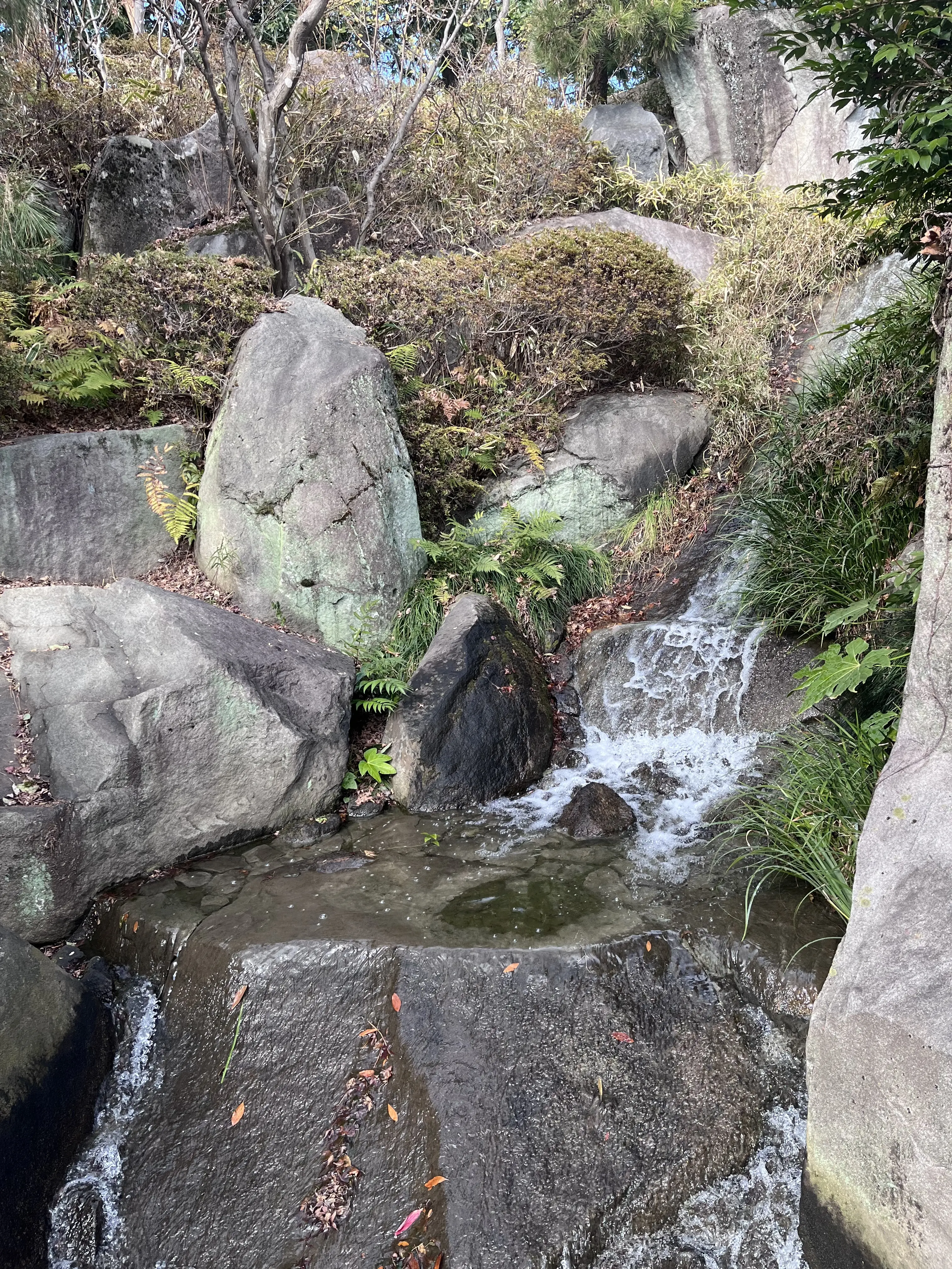 らくらくスニーカーで目白界隈1人散歩_1_10