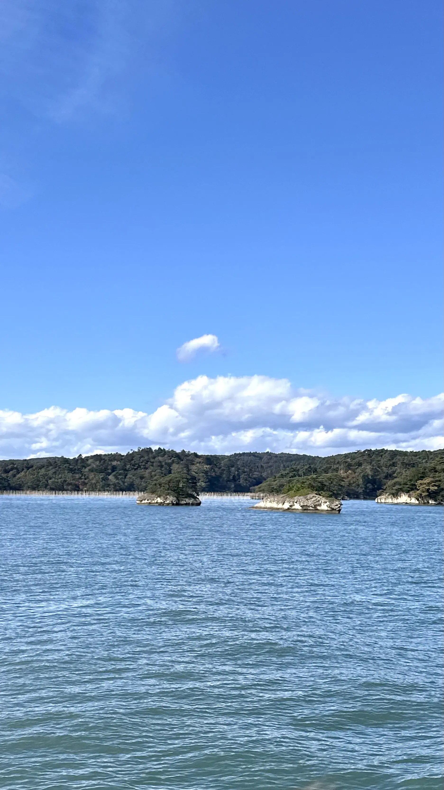 【秋の仙台旅行】「宮島」と「瑞巌寺」で鷹匠🦅にチャレンジ_1_3