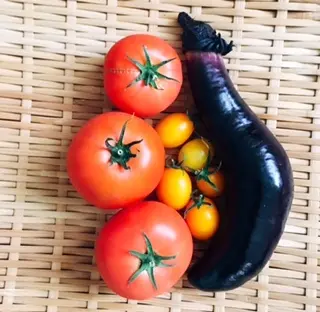 50代の元気：子どもたちも大好き！手作り野菜で夏のサラダランチ_1_1