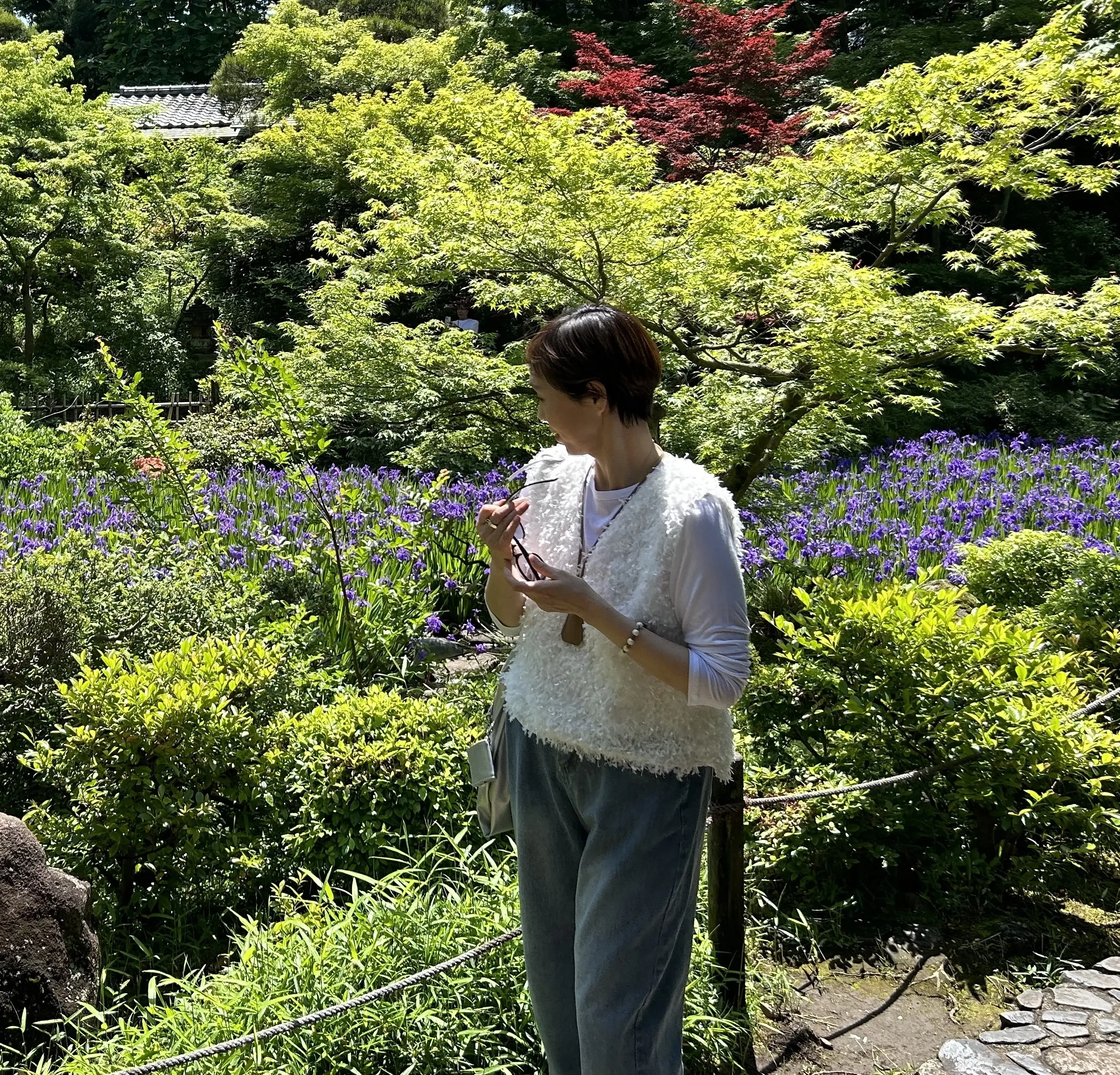 根津美術館　庭　燕子花