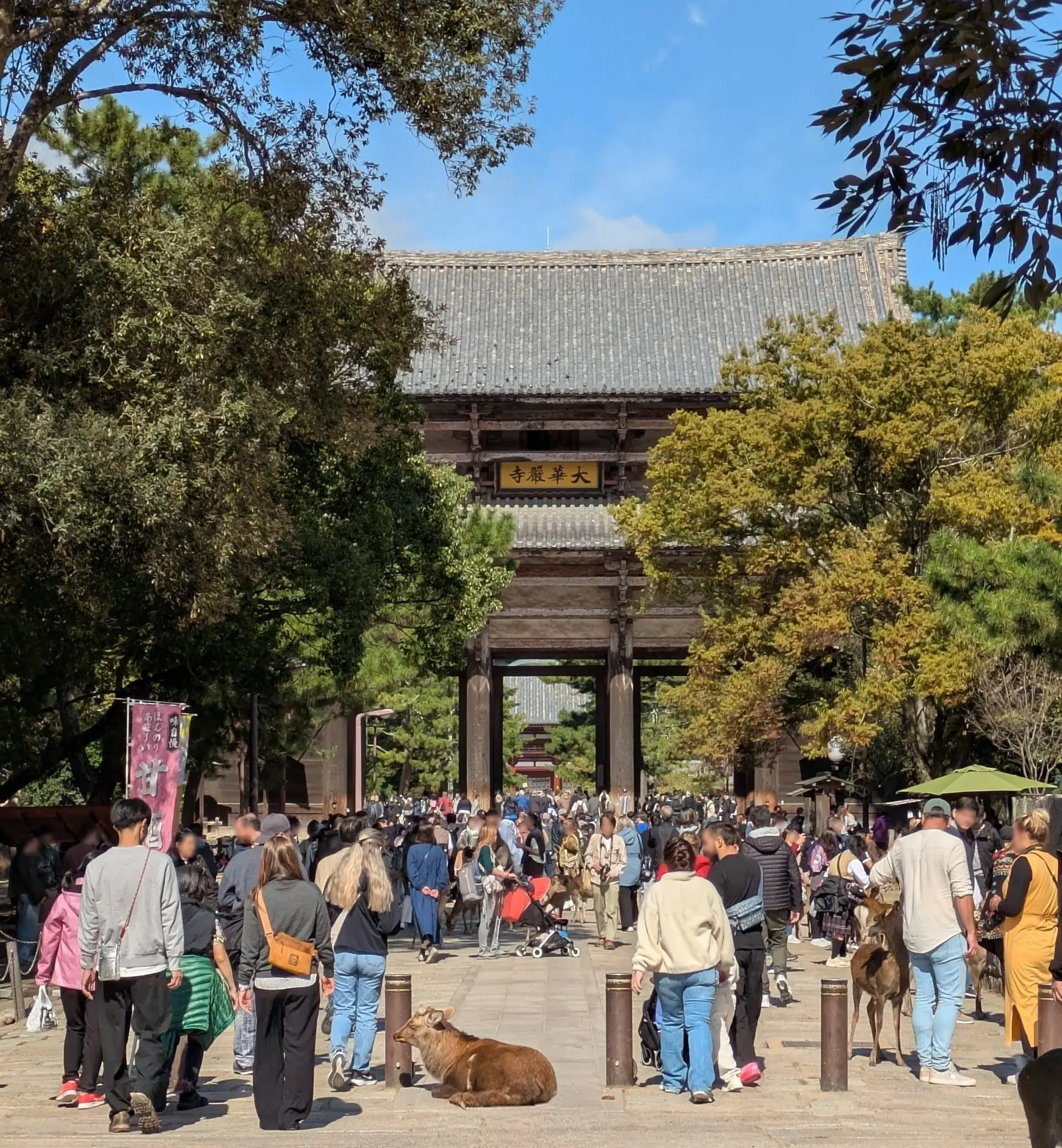 続) 秋の奈良　奈良散策と楽しいひととき♪_1_1