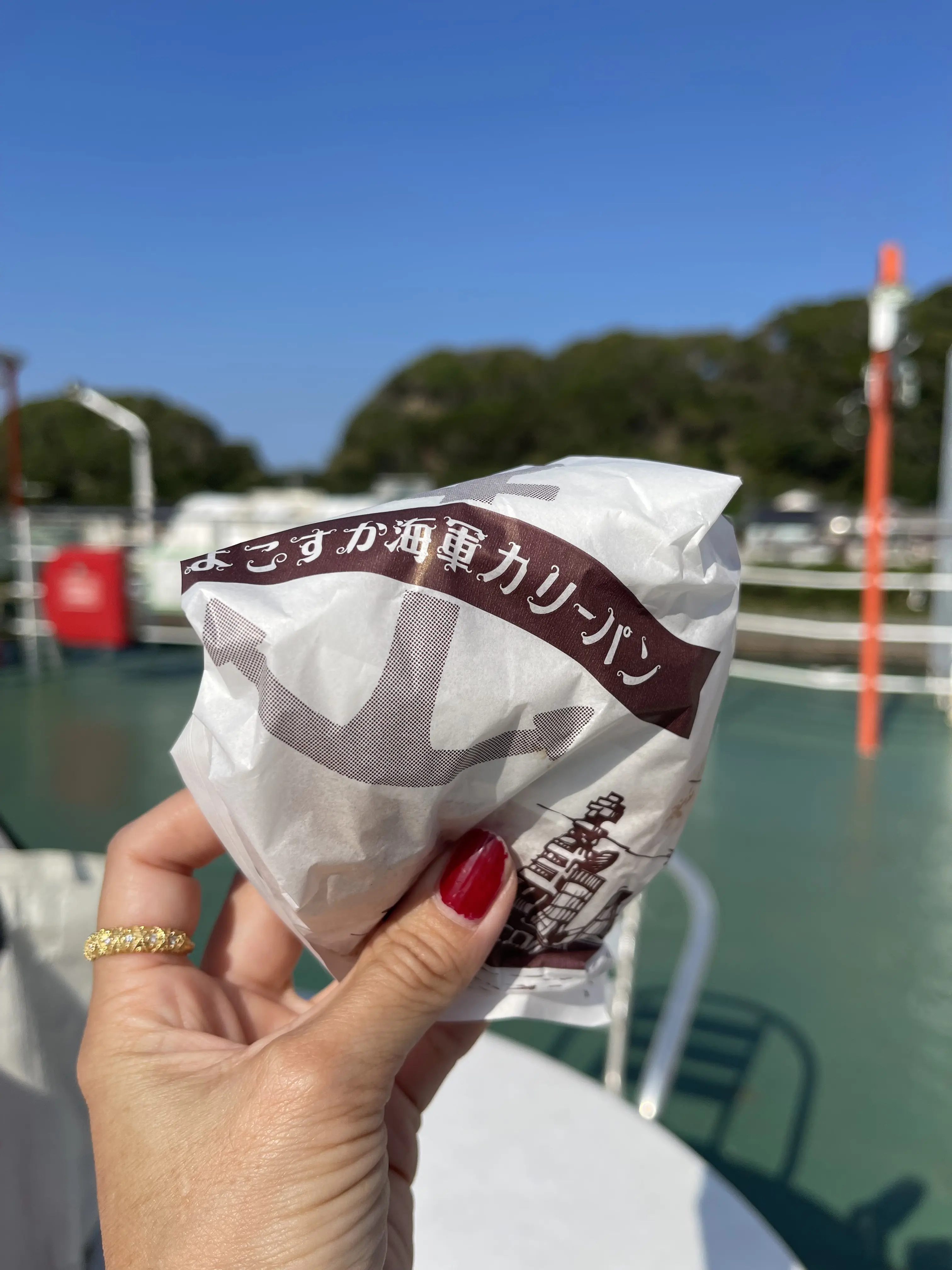 東京湾を渡る30分の船旅。愛犬と久里浜港からのプチトリップ 🛳️_1_13-1
