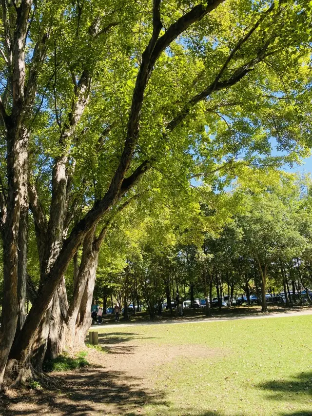 学びの森
