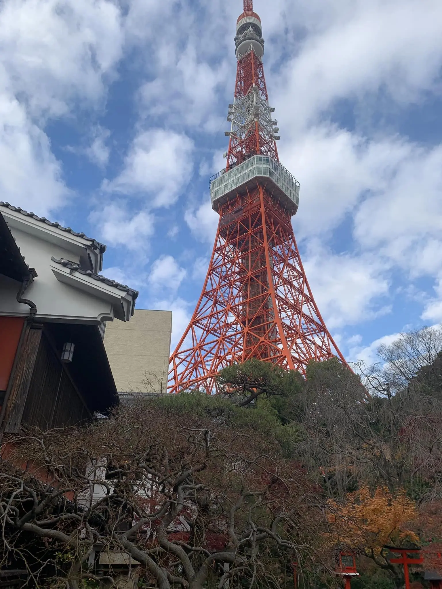 東京タワーと中庭を眺めながら、優しいお味のとうふを。芝とうふやうかいへ。_1_2-2