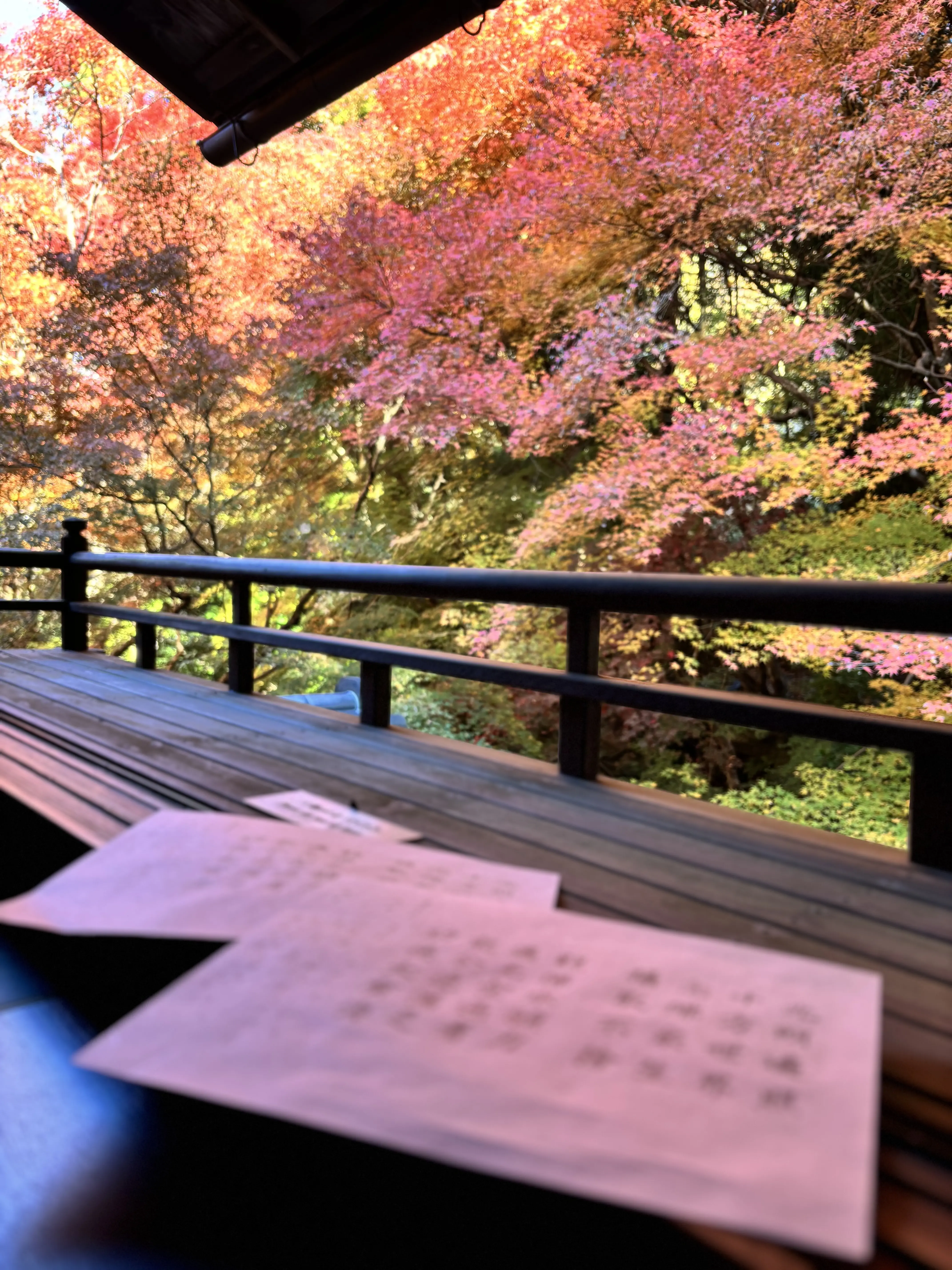 京都　八瀬　瑠璃光院