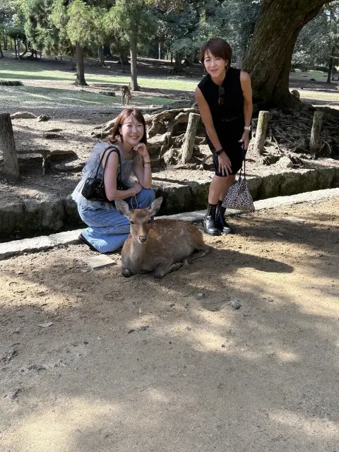 朝の光に包まれて 〜春日大社の特別拝観へ〜_1_1