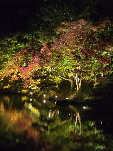 栗林公園ライトアップ_1_9