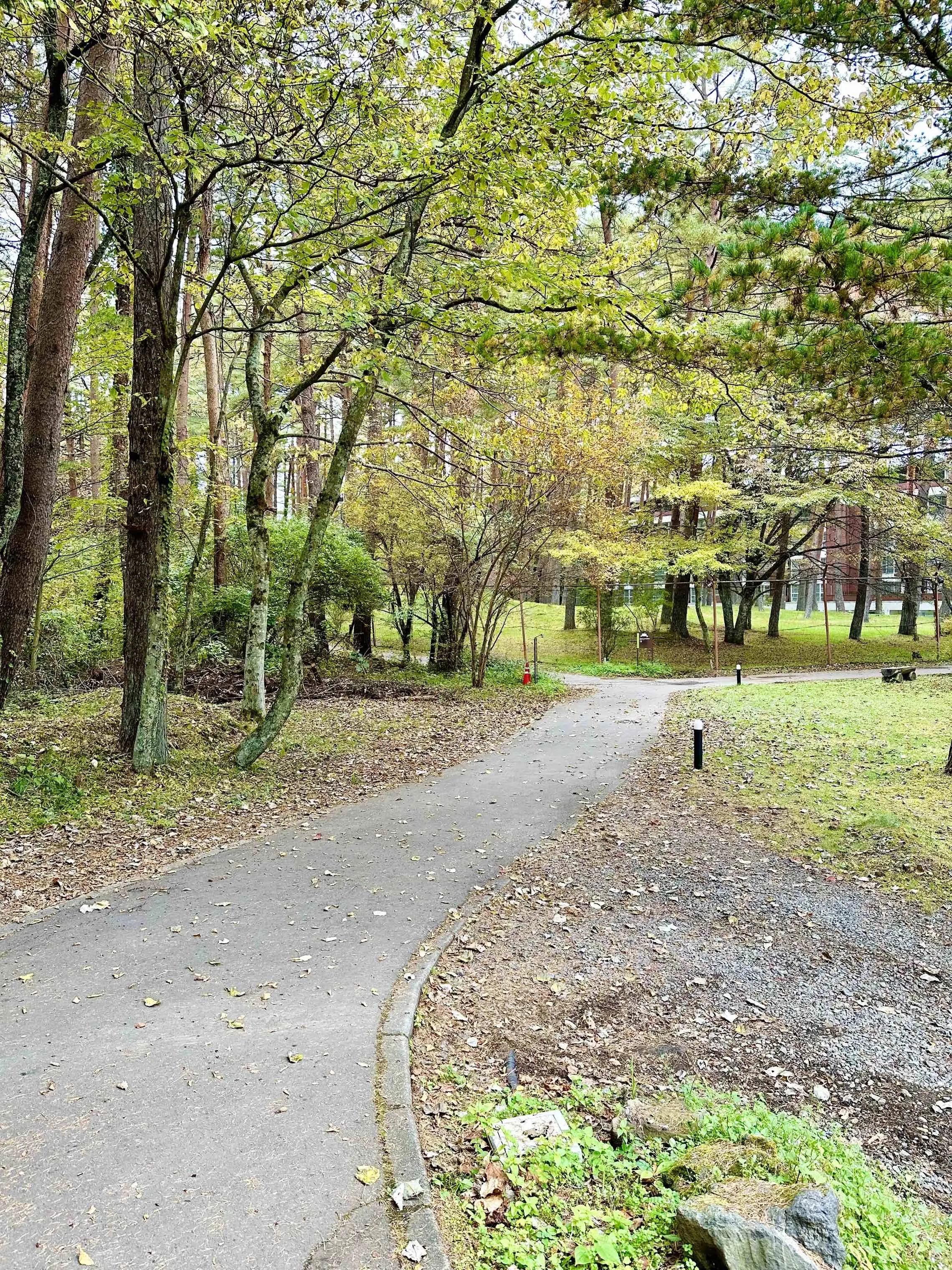 静かな時間と秋の景色を楽しむ河口湖の旅_1_28