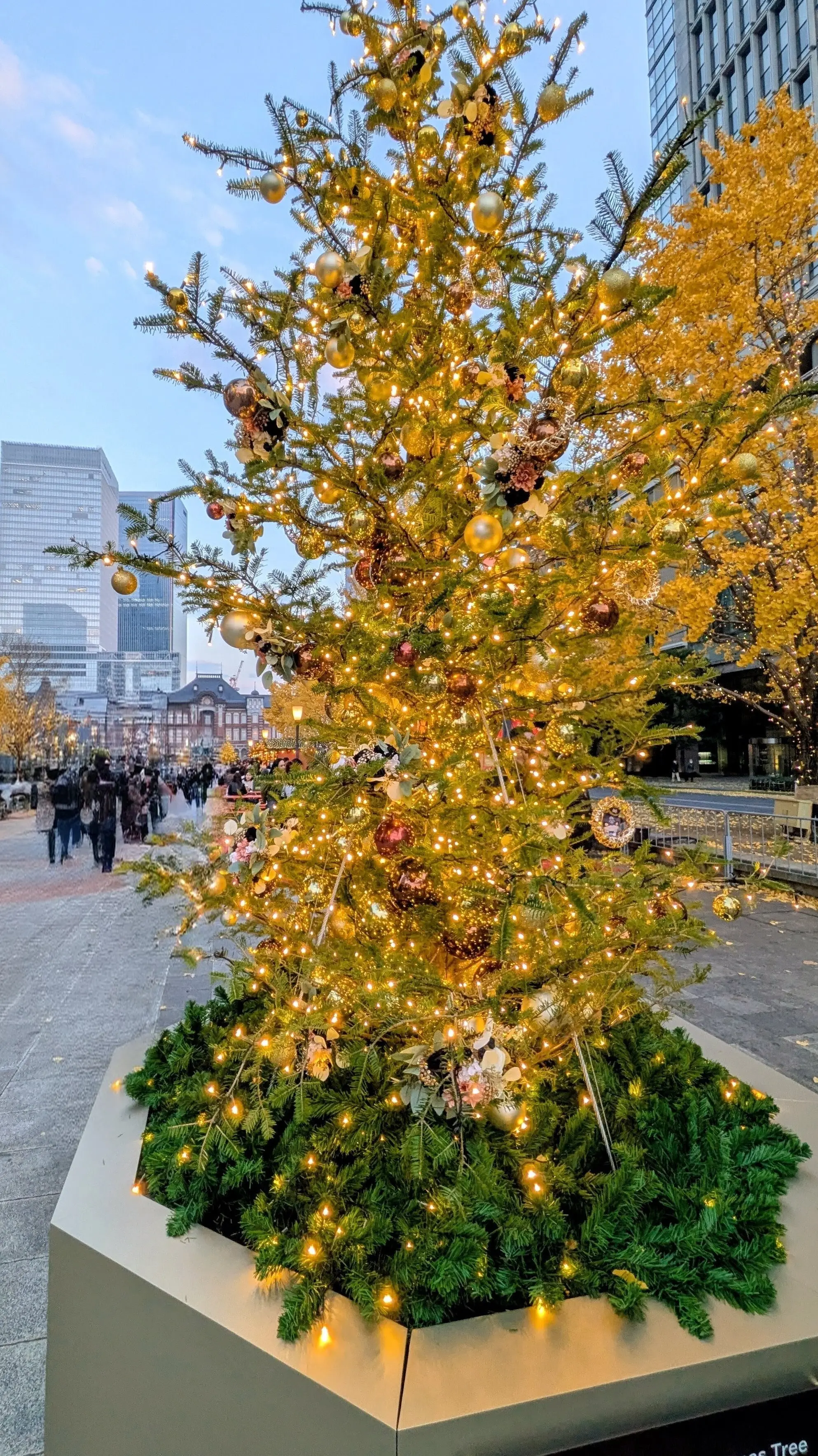 丸の内駅前広場