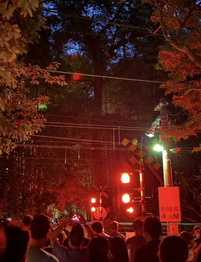 京都「嵐山月灯路」の幻想的な世界へ_1_3