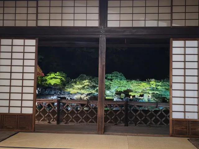 栗林公園ライトアップ_1_12