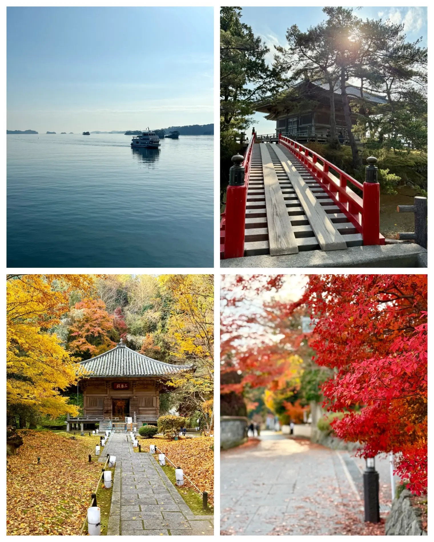 羽織るだけで見た目も気分も華やぐ♪ストールコーディネートで秋のお出かけ_1_11