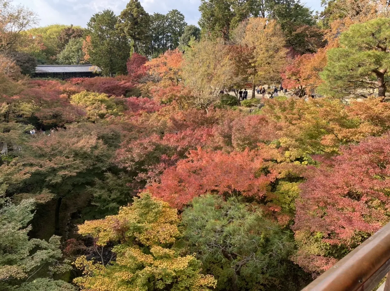 紅葉の名所、京都・東福寺の通天橋から想う映画のシーン_1_6