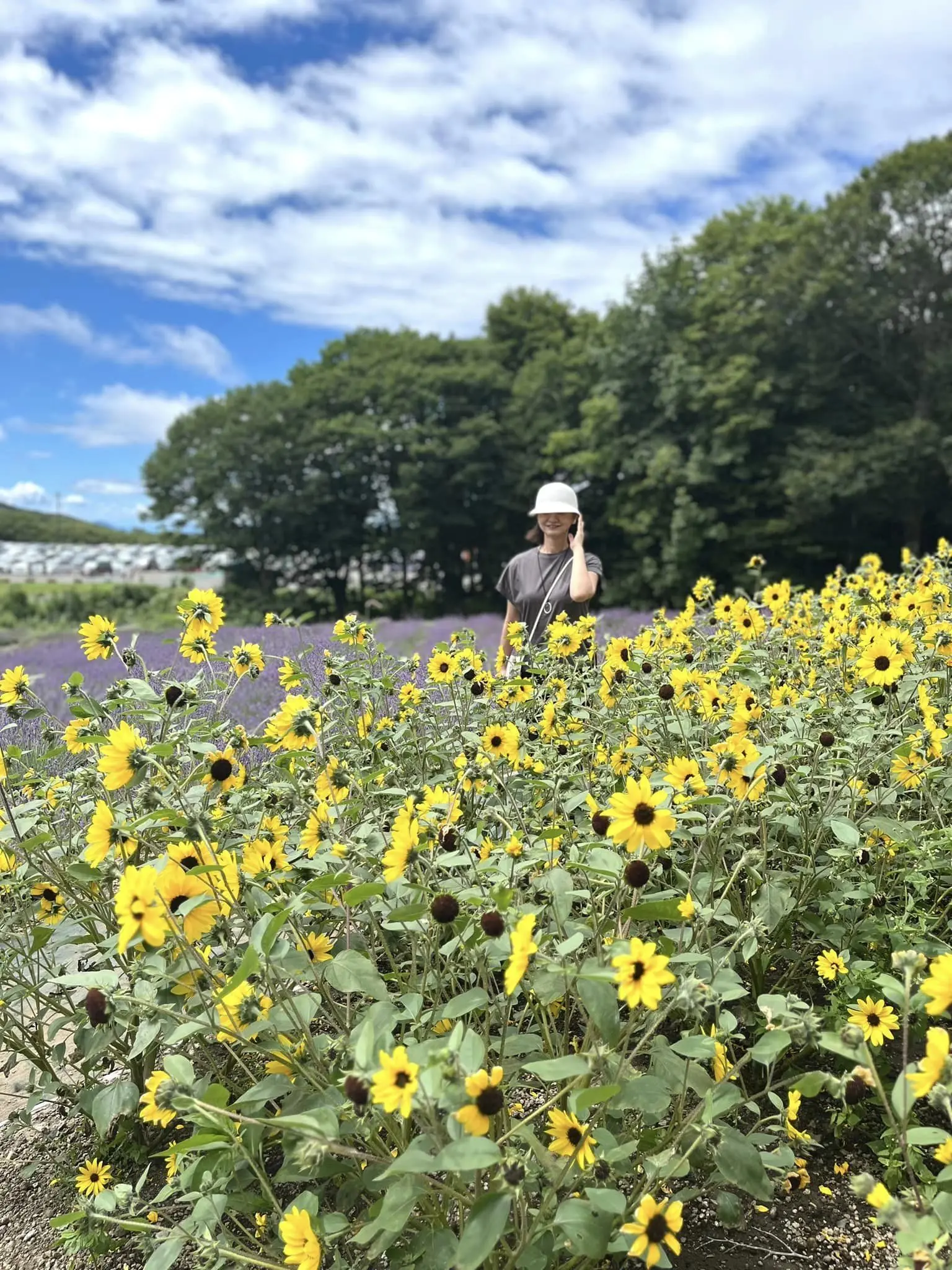 ラベンダーパークと滝。自然満喫のの夏の群馬ドライブ。_1_11-1