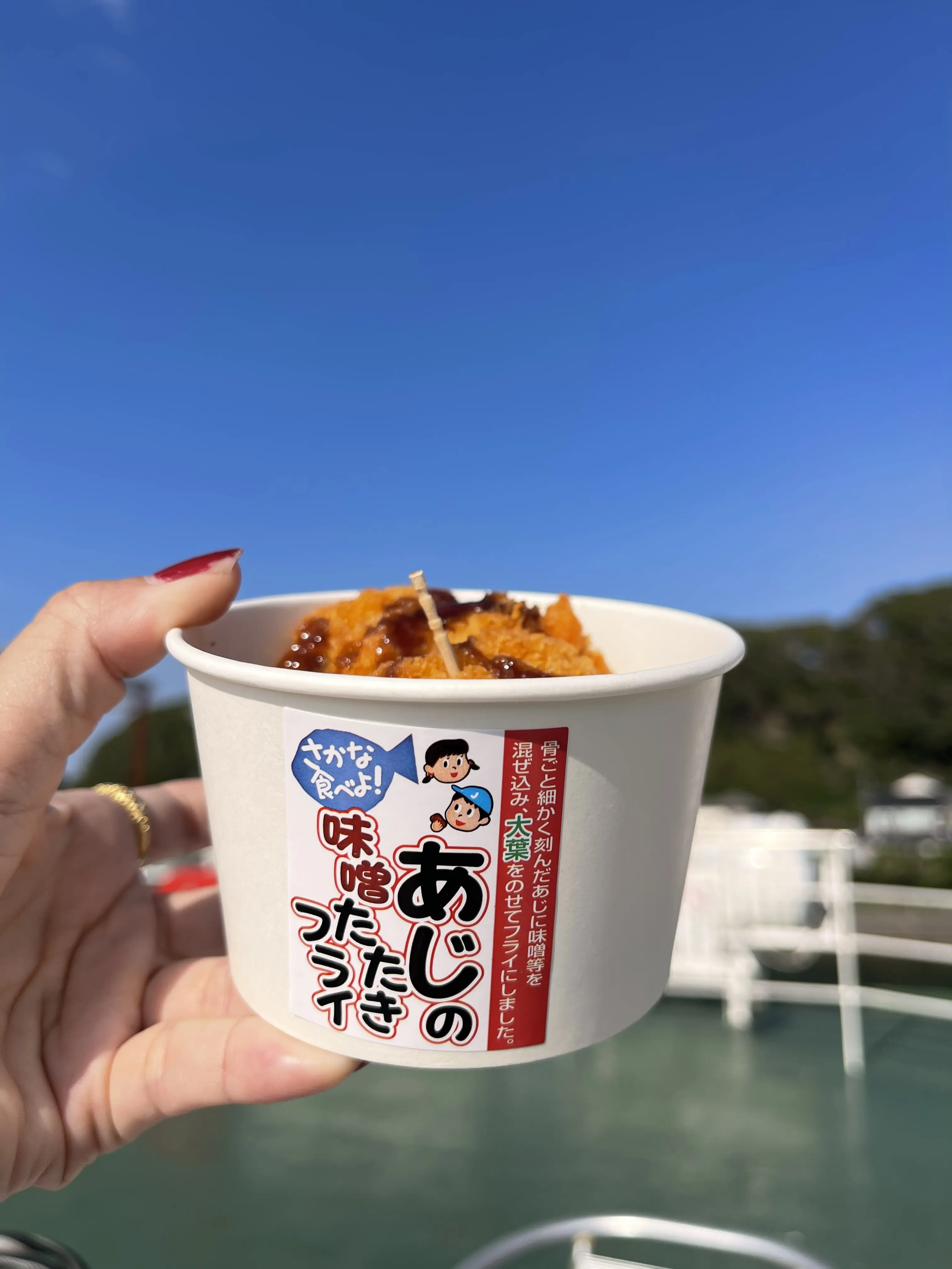 東京湾を渡る30分の船旅。愛犬と久里浜港からのプチトリップ 🛳️_1_13-3