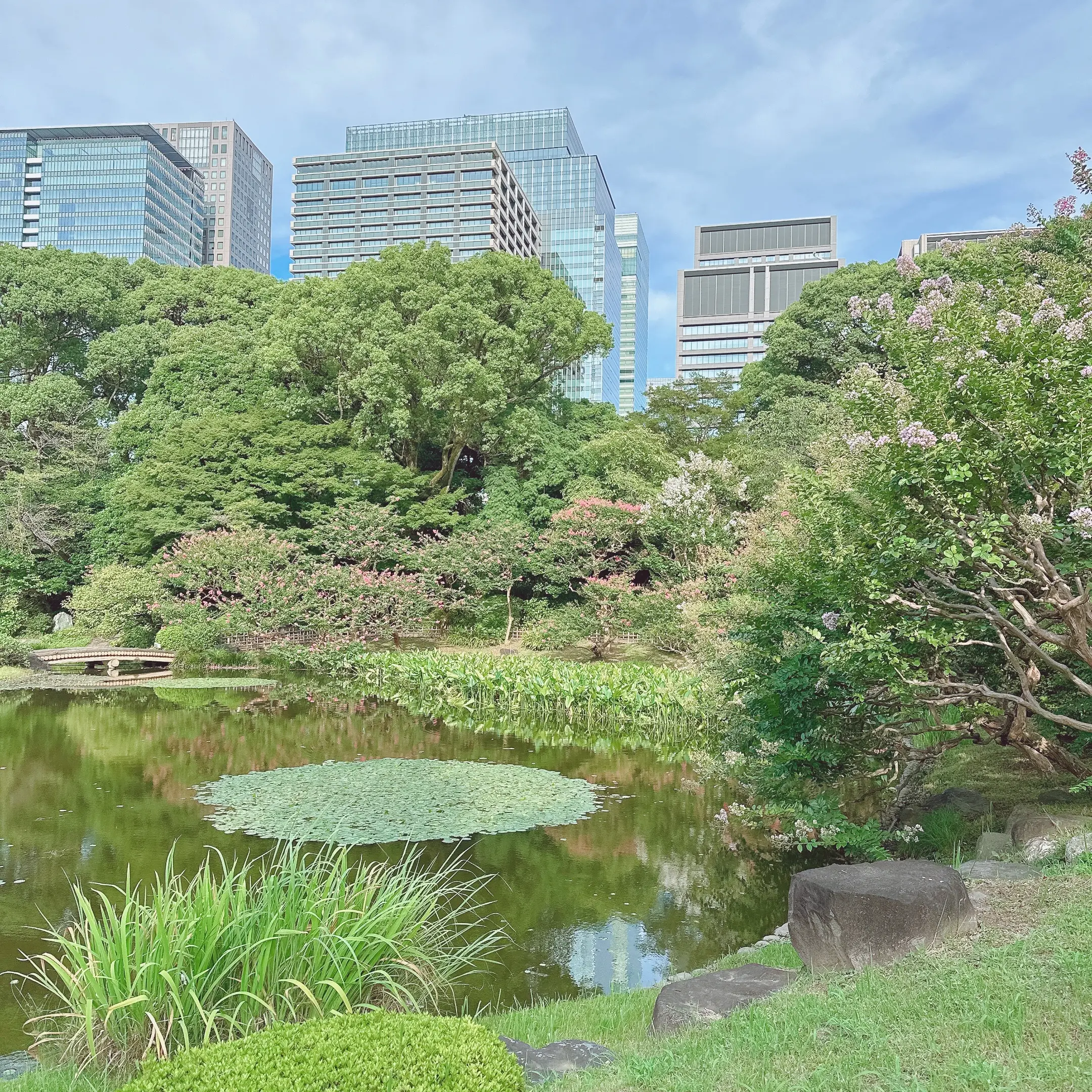 皇居東御苑の二の丸庭園