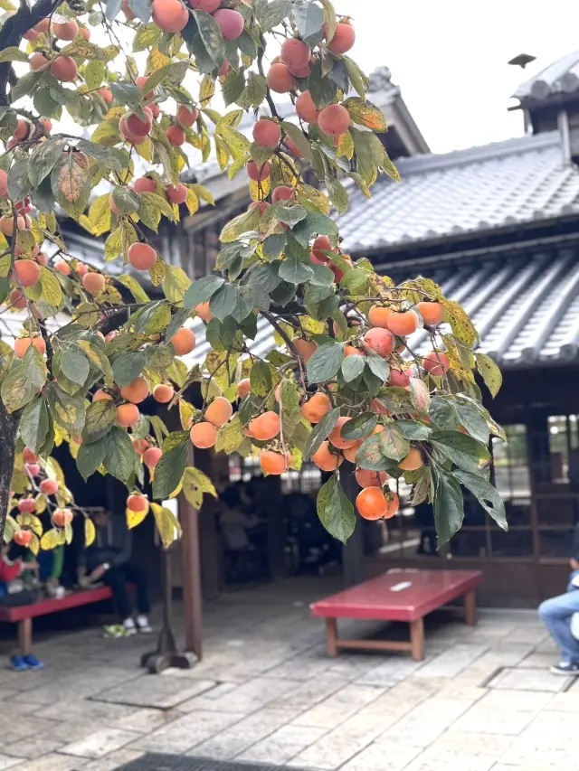 【お伊勢参り】やっと手にしたとっておきのお土産とともに_1_10