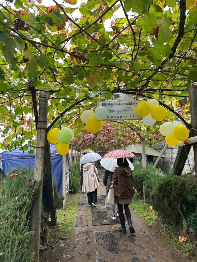 ワインツーリズム やまなし・秋 2025 勝沼_1_14