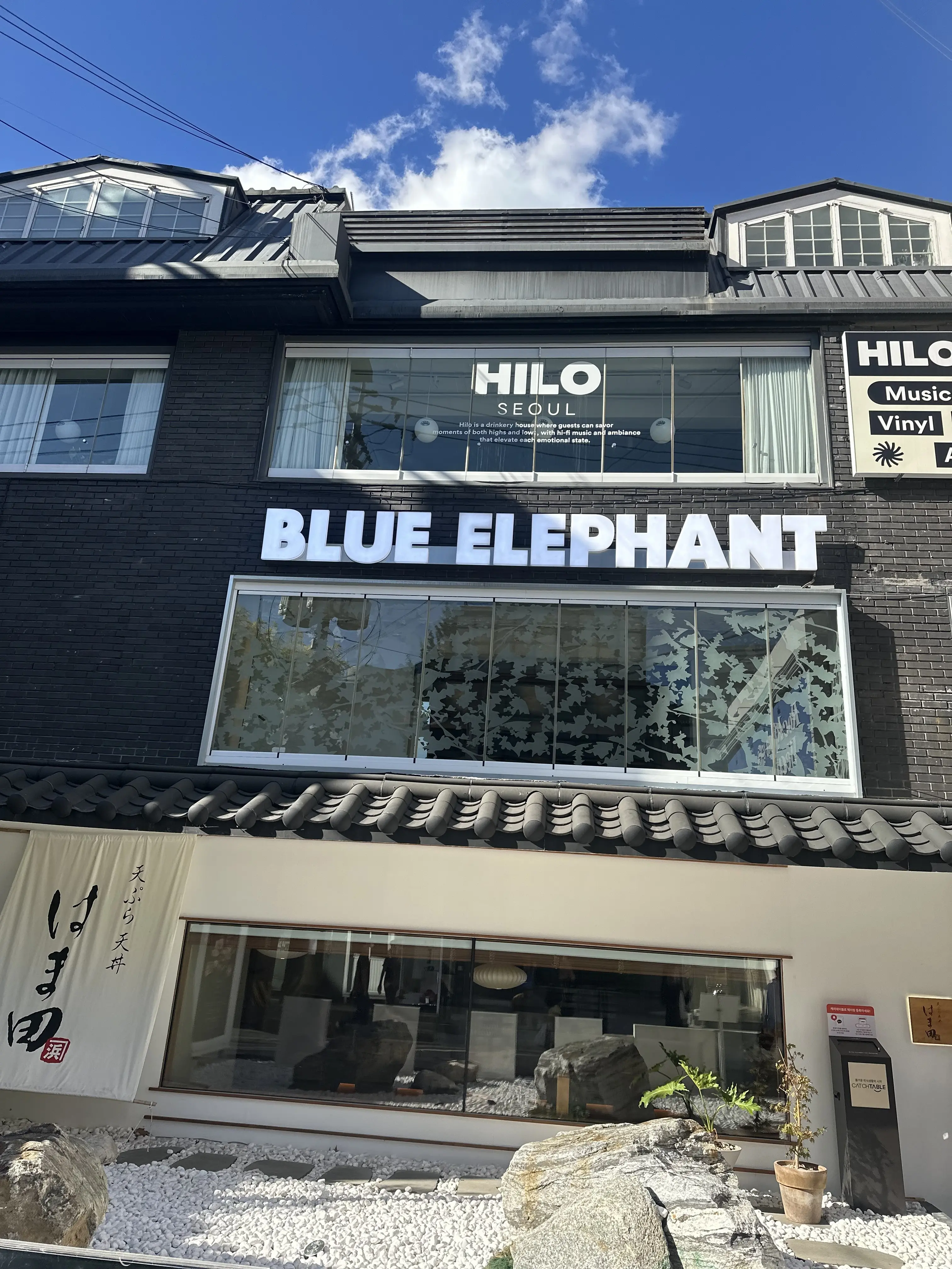 韓国初！一押しサングラスBlueel ephant_1_2