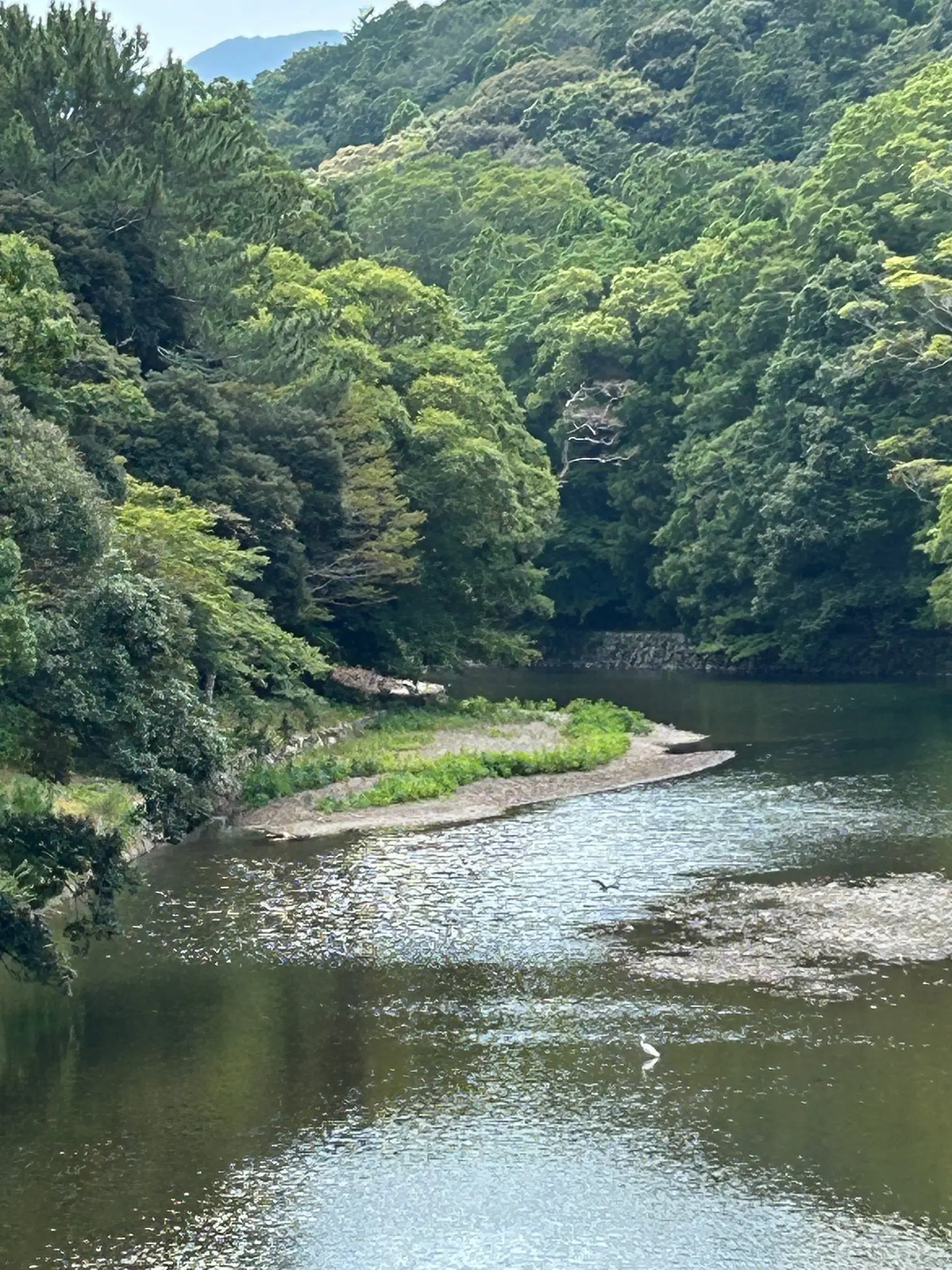 宇治橋